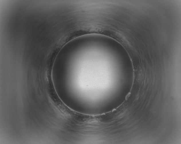 X0000071390643200606231313