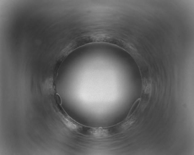 X0000071390670200606231313