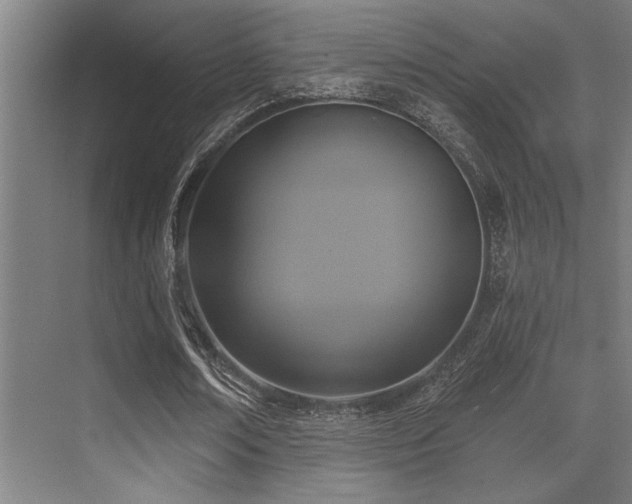 X0000071390674200606231312