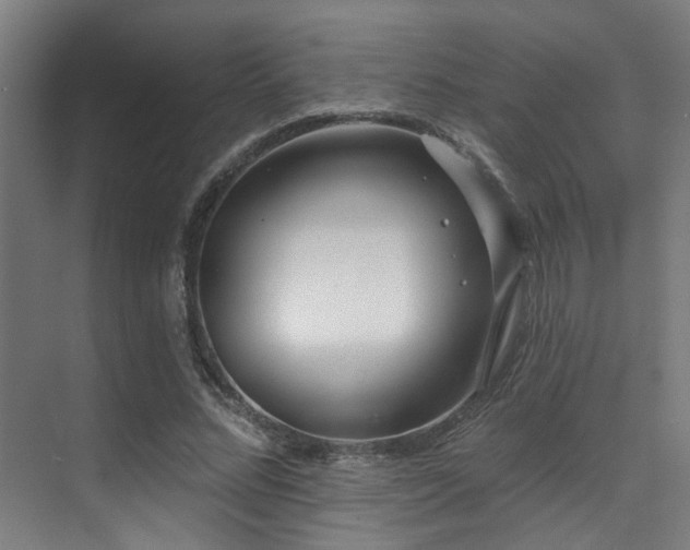X0000071390684200606231312