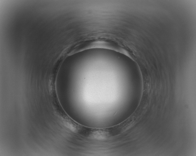 X0000071390708200606231312