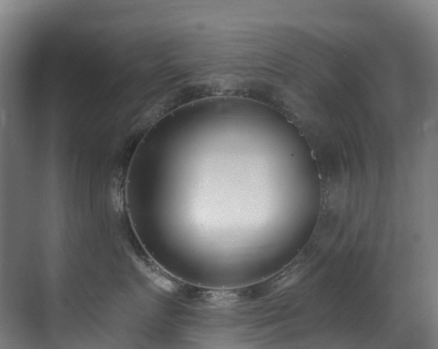 X0000071390719200606231312