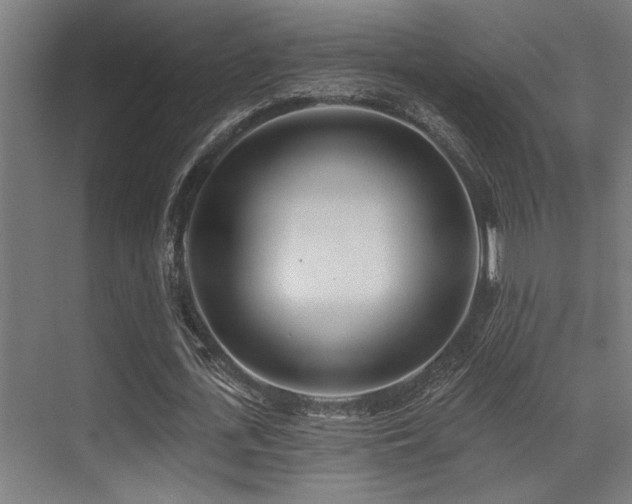 X0000071390723200606231311