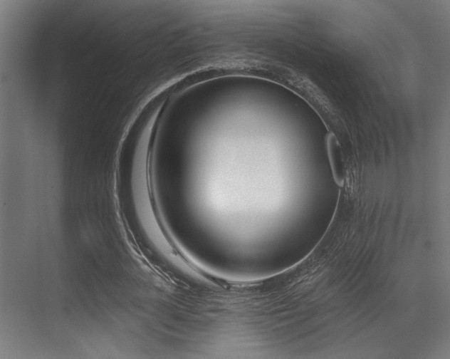 X0000071390724200606231311