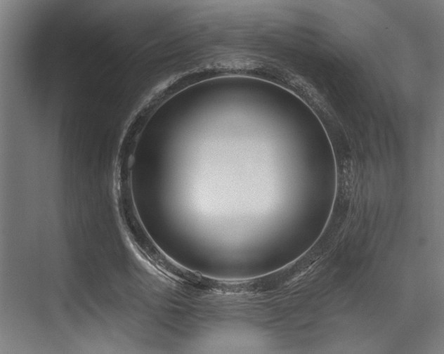 X0000071390726200606231311