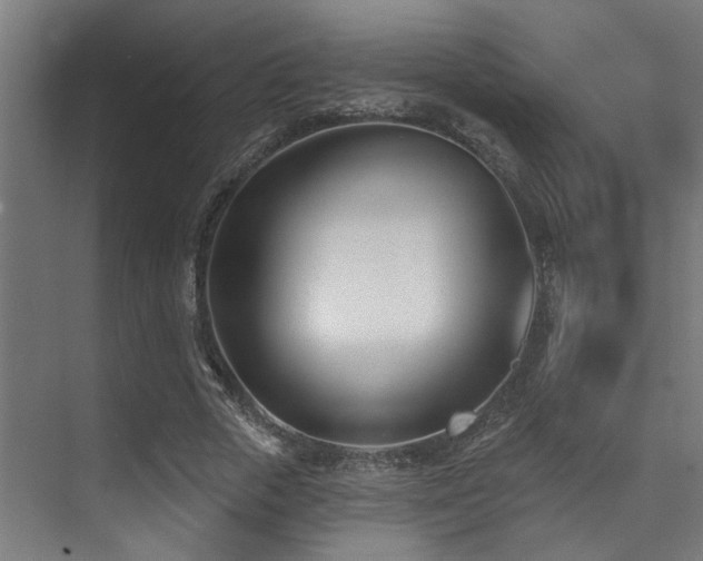 X0000071390729200606231311