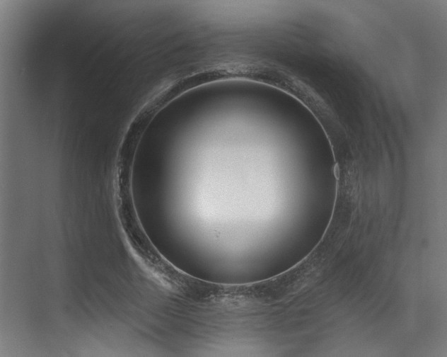 X0000071390730200606231311