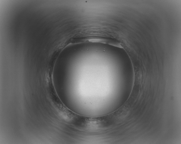 X0000071390746200606231311