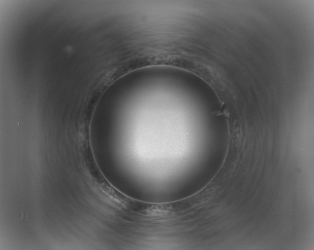 X0000071390756200606231311