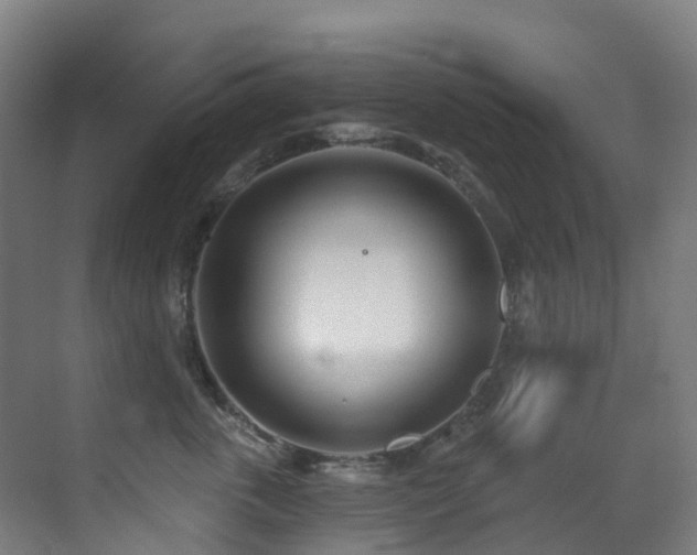 X0000071390763200606231311