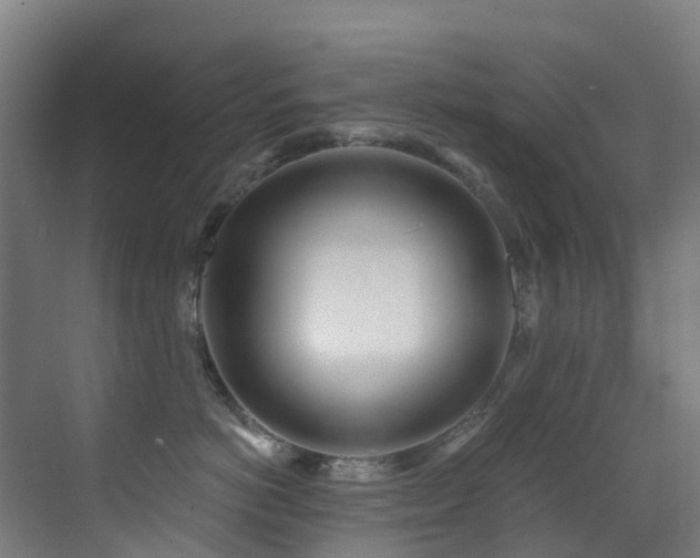 X0000071390766200606231312