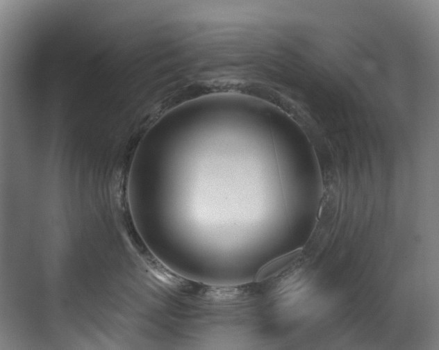 X0000071390767200606231312