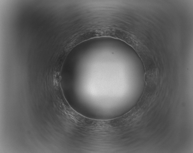 X0000071390770200606231311