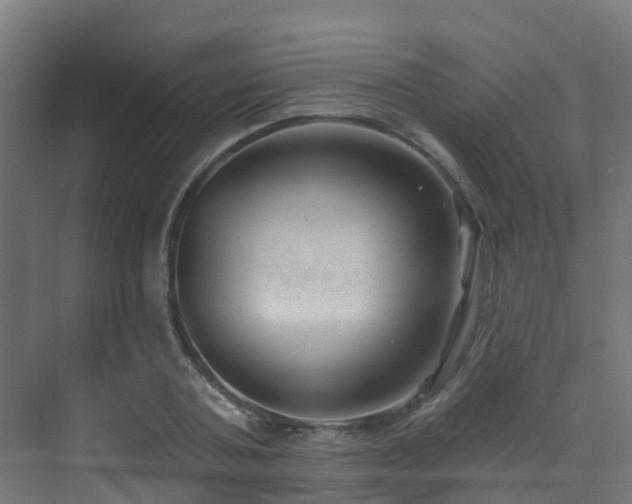 X0000071390787200606231310