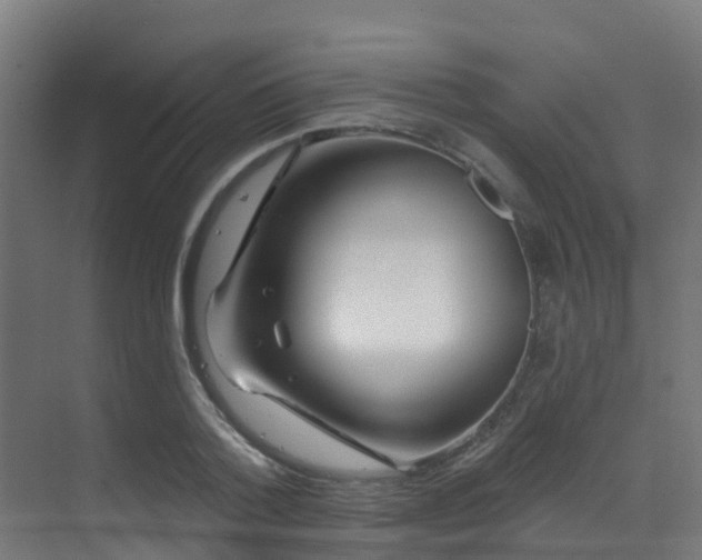 X0000071390788200606231310