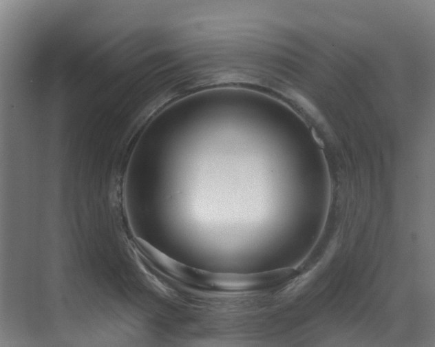 X0000071390793200606231310