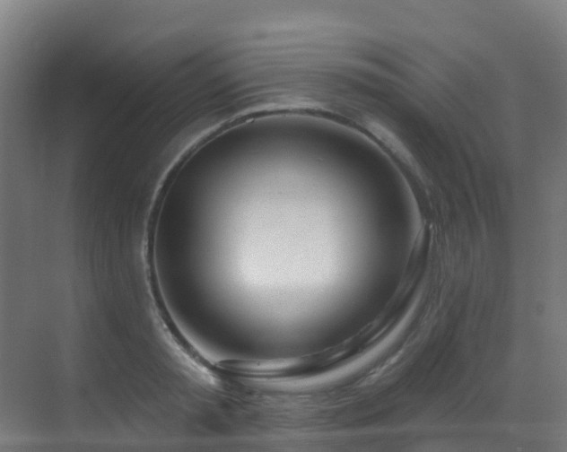 X0000071390797200606231310