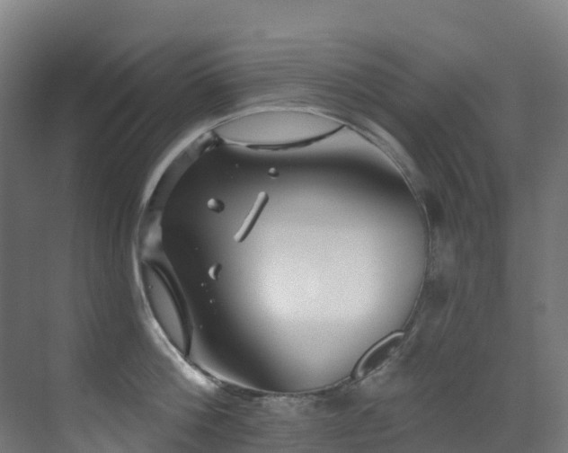 X0000071390812200606231310