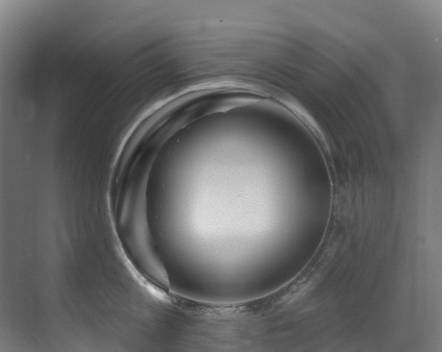 X0000071390813200606231310