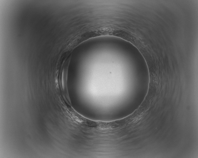 X0000071390818200606231309