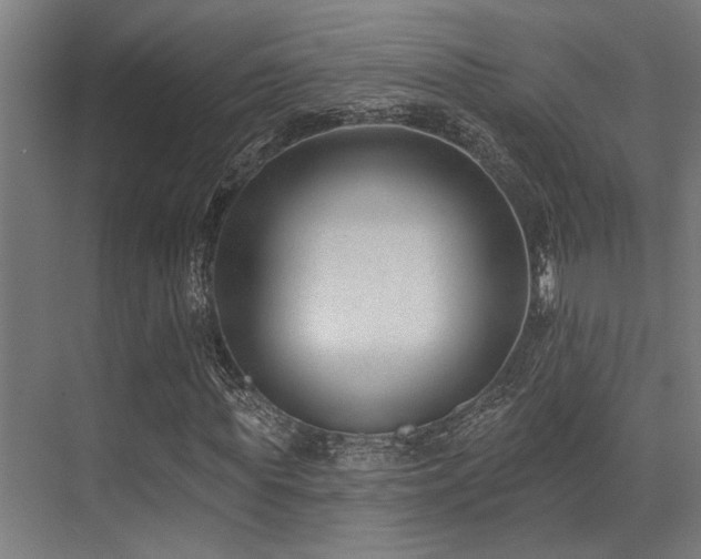 X0000071390819200606231309
