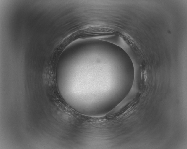 X0000071390822200606231309