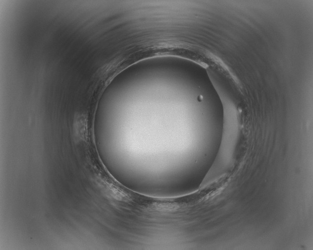X0000071390825200606231309