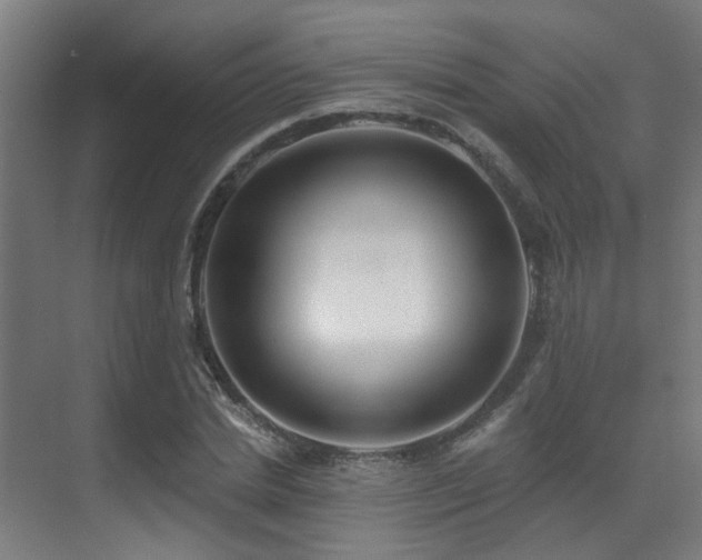 X0000071390830200606231309