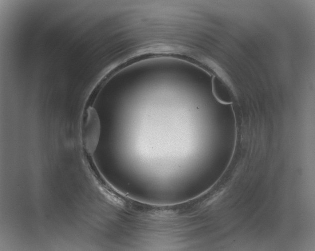 X0000071390837200606231309