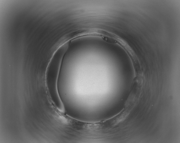 X0000071390858200606231310