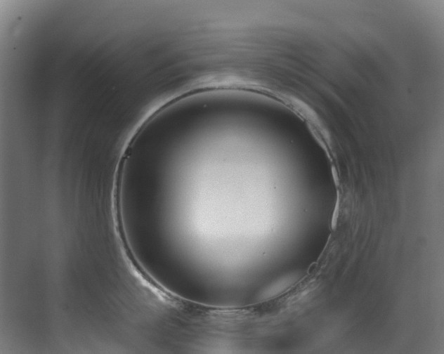 X0000071390863200606231310