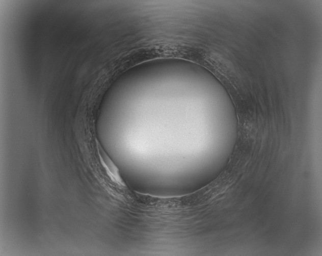 X0000071390865200606231309