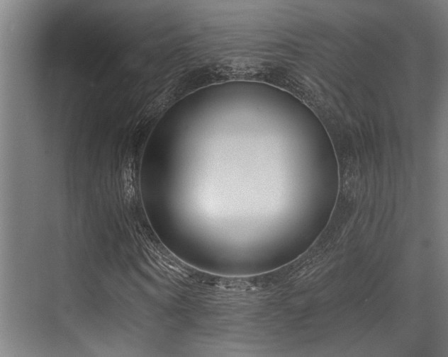 X0000071390866200606231309