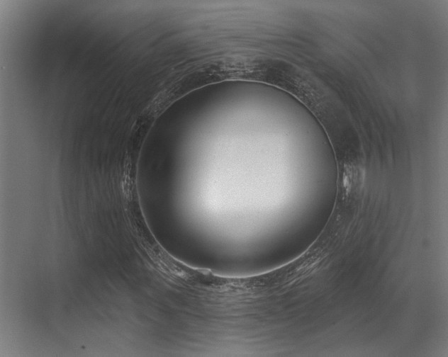 X0000071390867200606231309