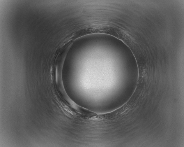 X0000071390868200606231309