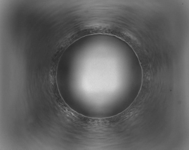 X0000071390869200606231309