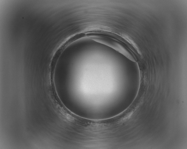 X0000071390877200606231309