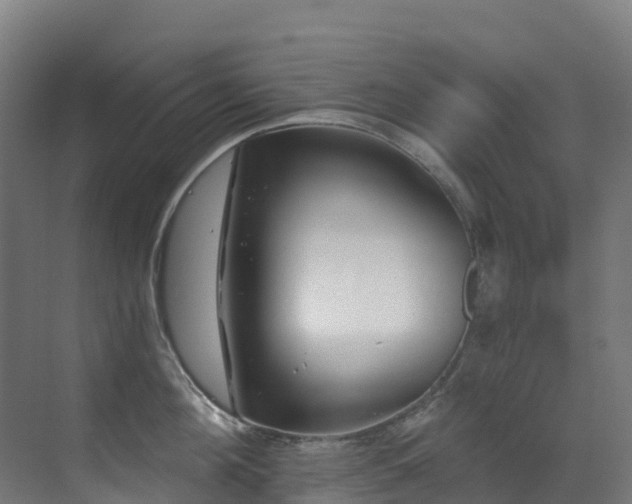 X0000071390908200606231308