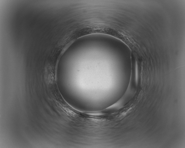 X0000071390916200606231308