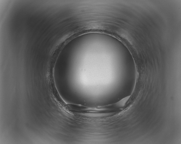 X0000071390922200606231308