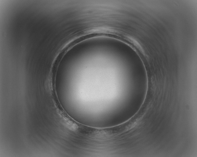 X0000071390931200606231308