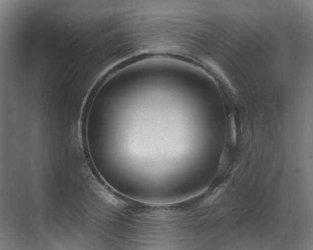 X0000071390932200606231308