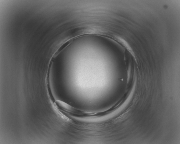 X0000071390946200606231308