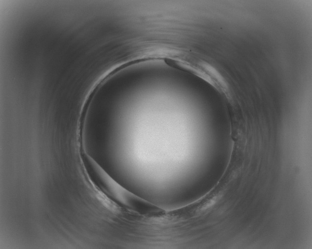 X0000071390948200606231308