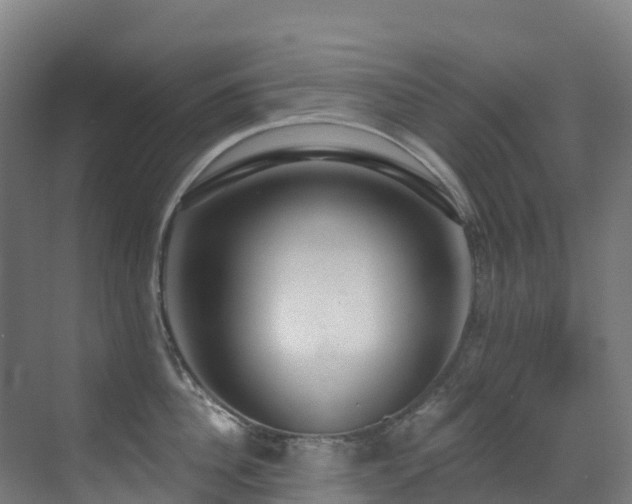 X0000071390956200606231308