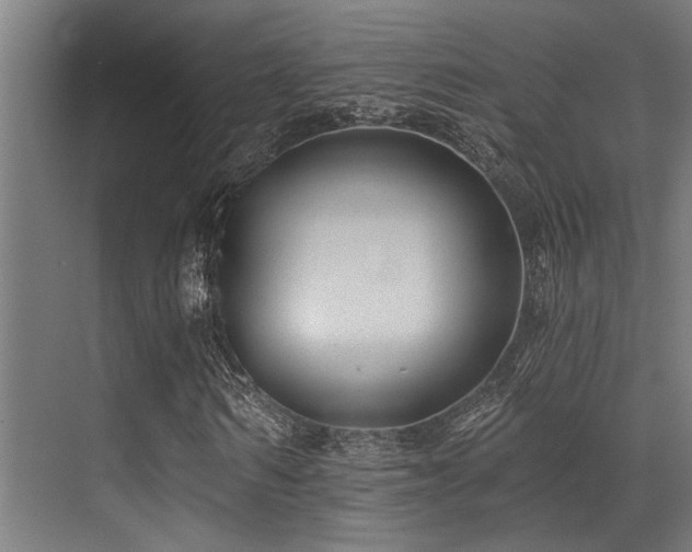 X0000071390962200606231307