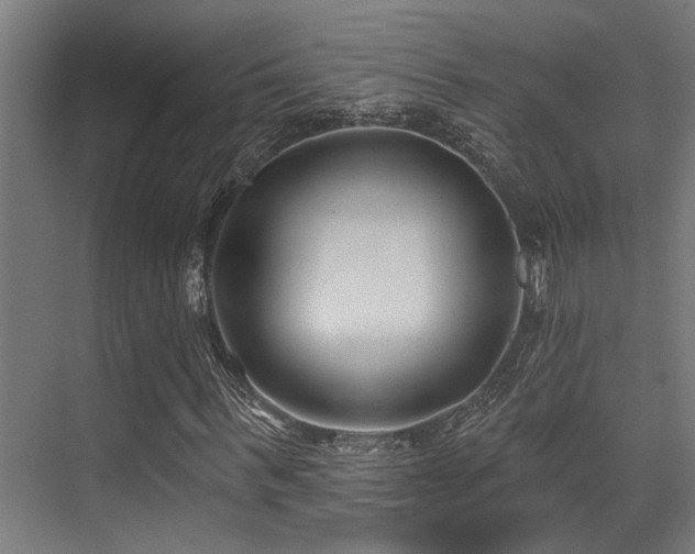 X0000071390963200606231307