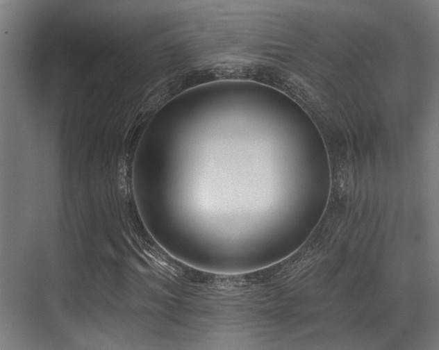 X0000071390964200606231307