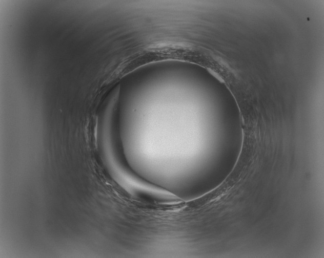 X0000071390965200606231307