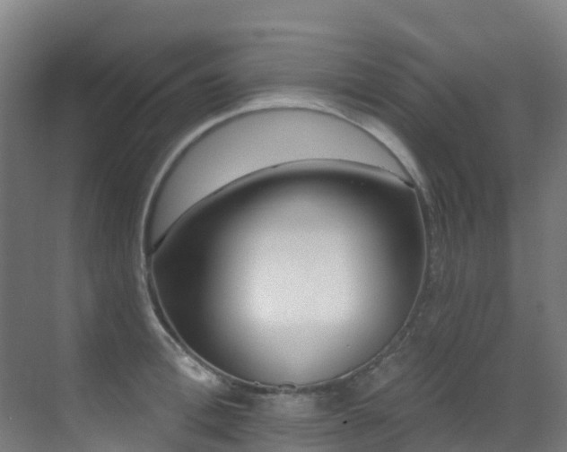 X0000071390996200606231307
